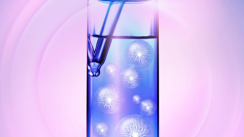 分子生物学试剂：揭秘其价格背后的奥秘