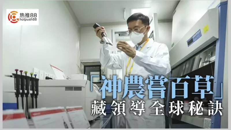 CDMO工艺流程设计标准：揭秘生物制药的“幕后英雄