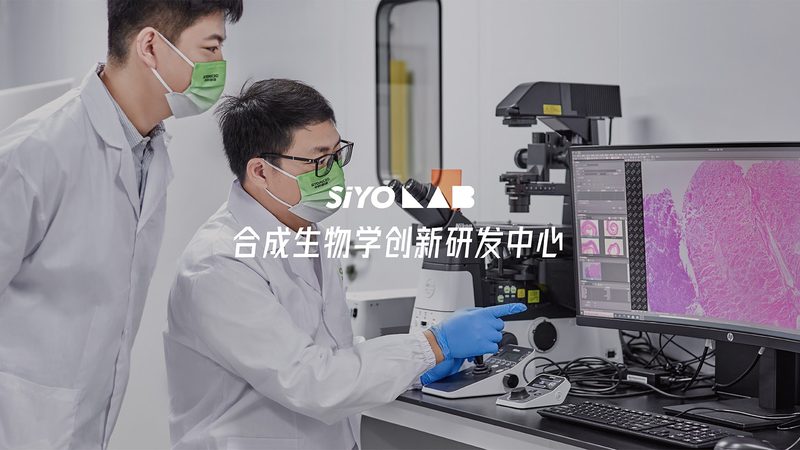 全基因组测序参数解析：揭秘精准医疗的基石