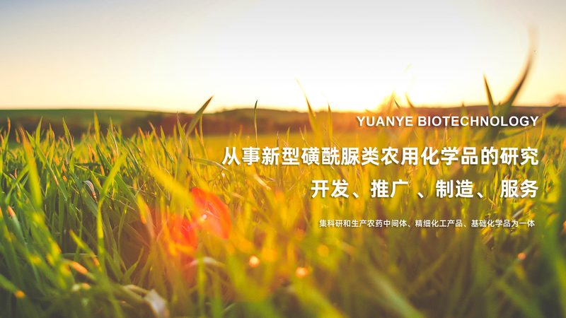 认识误区：价格与品质的等价关系