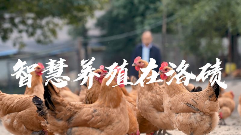 cro实验设计规范：关键要素与注意事项